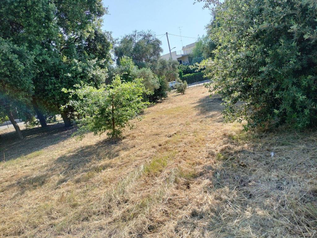 Terreno agricolo strada privata cavalier francesco albergo, santa caterina, bari