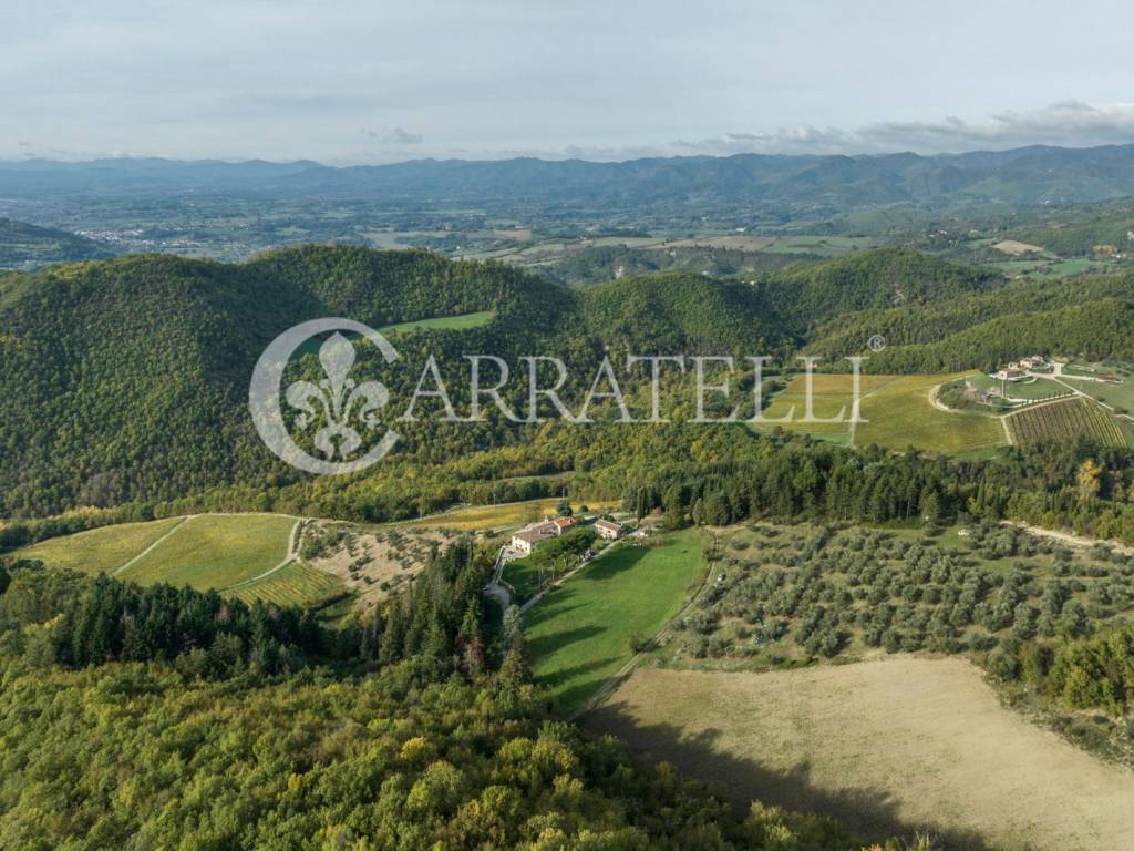 Pregiata azienda vitivinicola nel Chianti Rufina