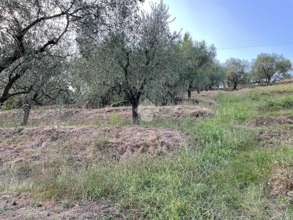 Terreno agricolo via matteotti, uzzano