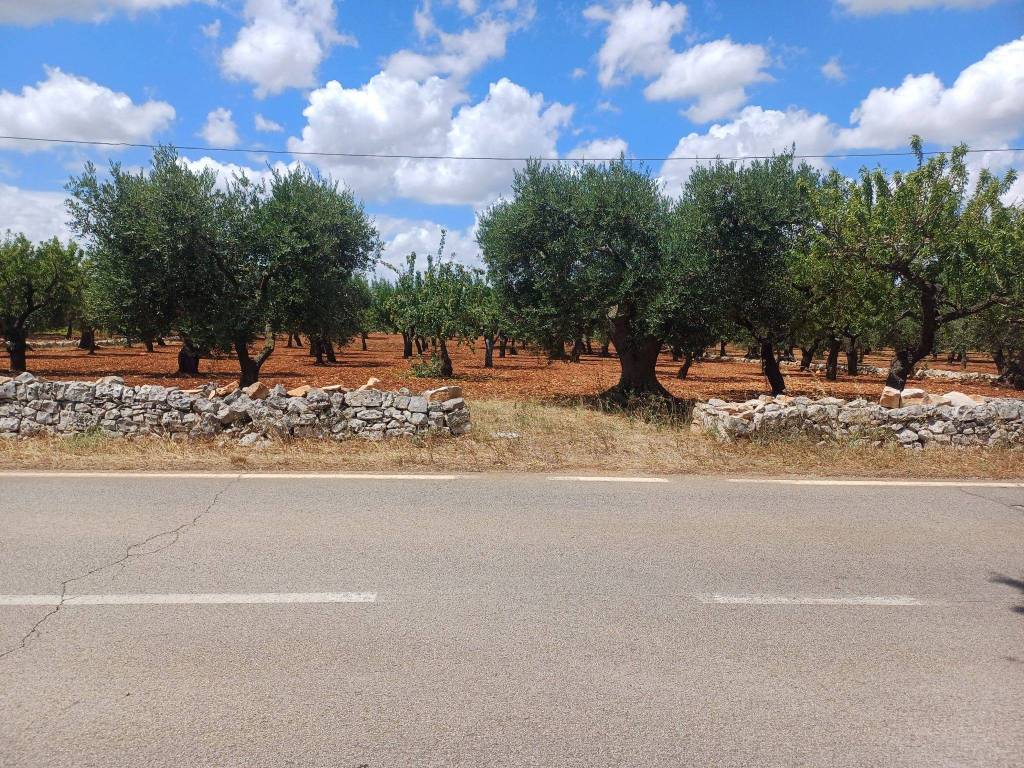 Terreno agricolo sp146, monopoli