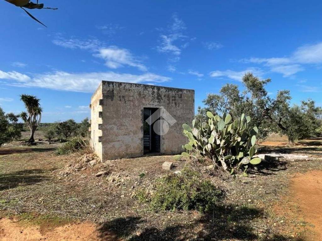 Terreno agricolo via li giannelli, taviano