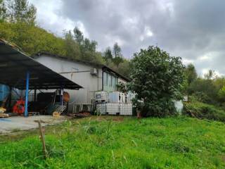 Foto da file Report Fotografico