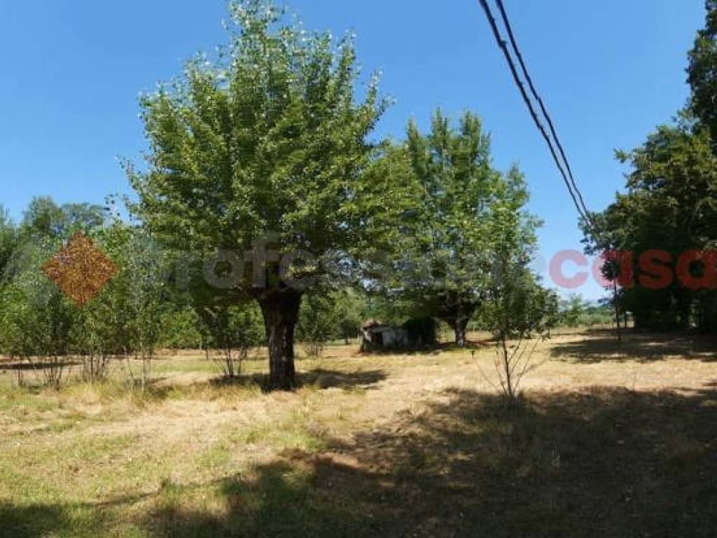 Terreno edificabile contradacampello, snc, veroli