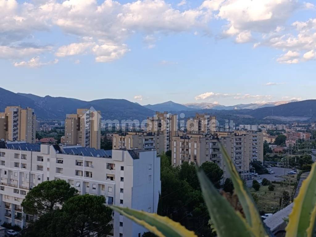 Vista