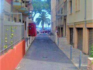 Zona