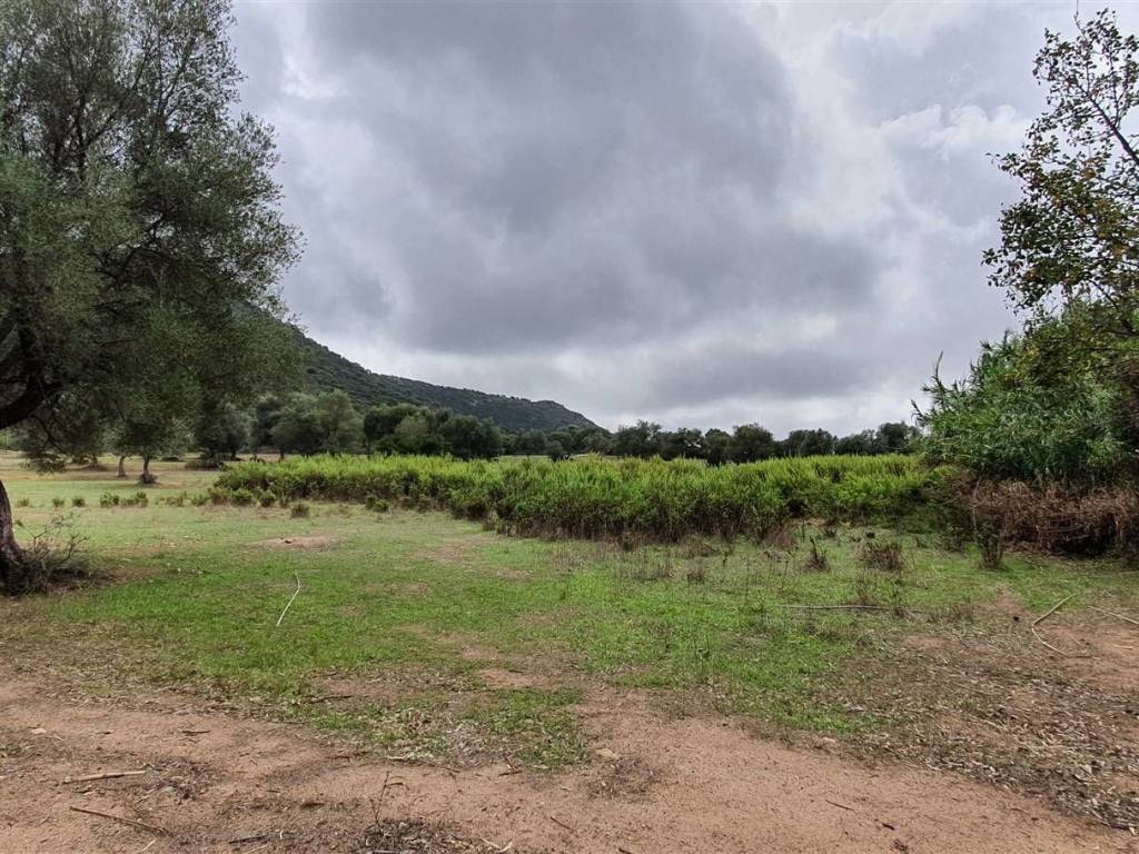 Terreno agricolo camisa, muravera