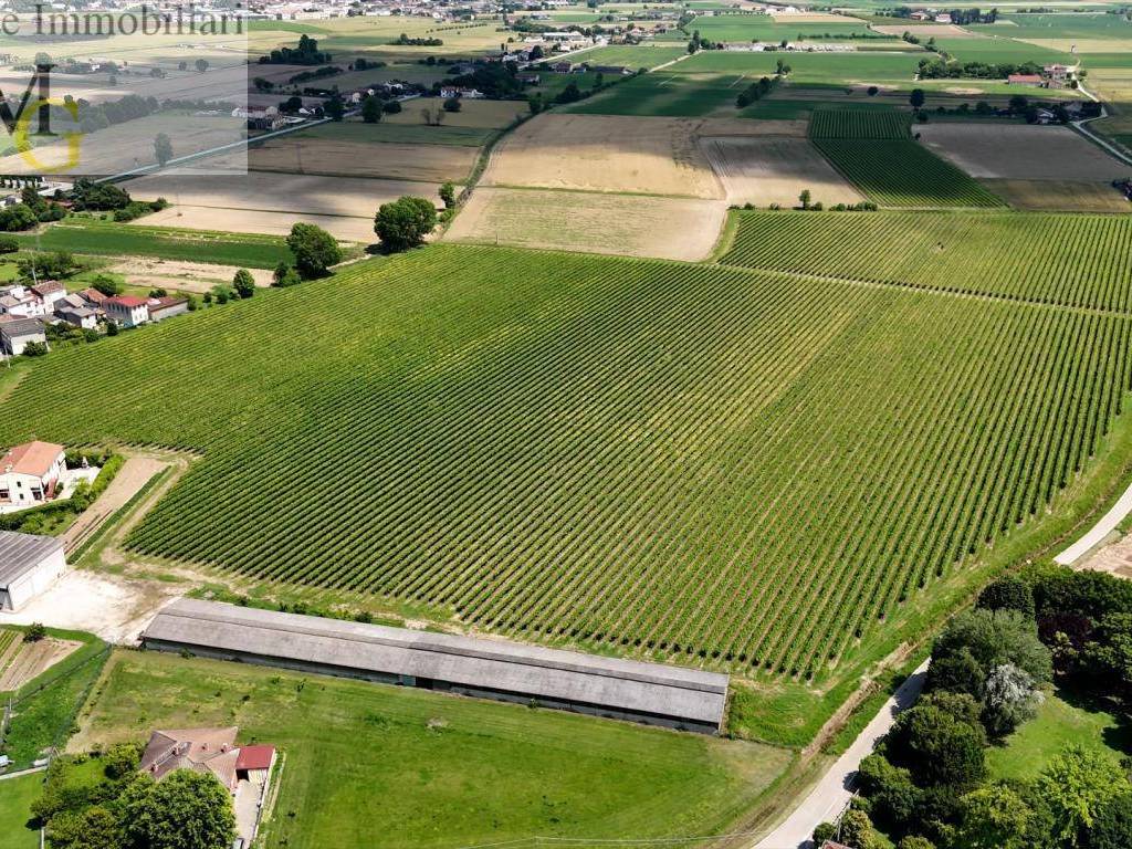 Terreno agricolo, poiana maggiore, pojana maggiore