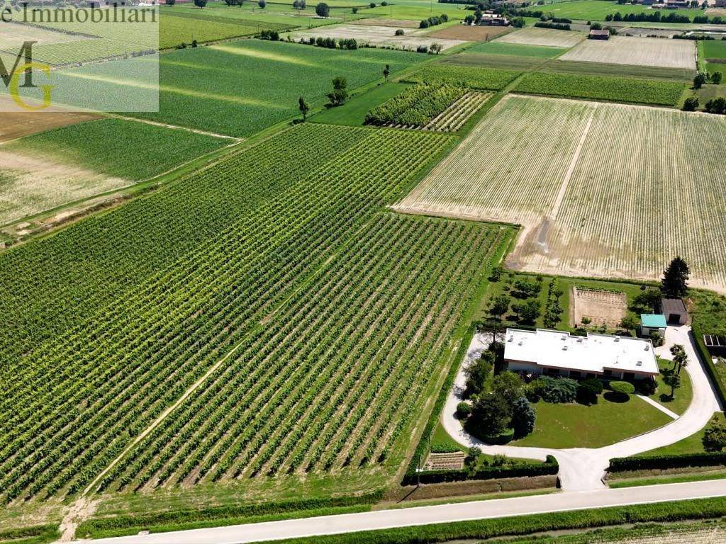 Terreno agricolo, poiana maggiore, pojana maggiore