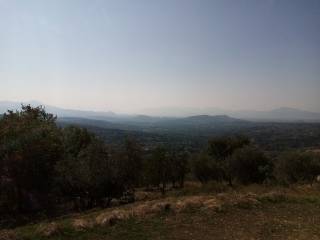 Vista