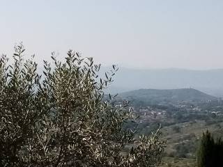 Vista