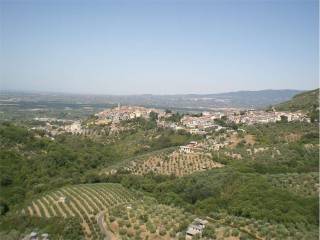 Vista