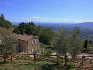 rustico in pietra vendesi colline lucca piscina