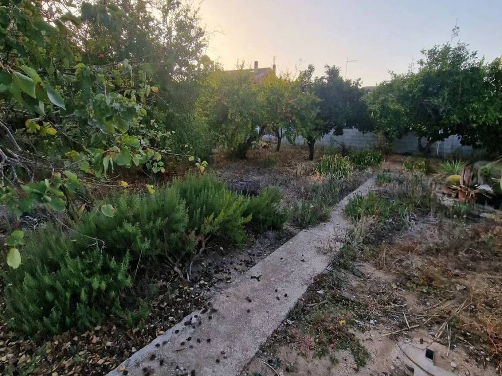 Terreno non edificabile, centro, cabras