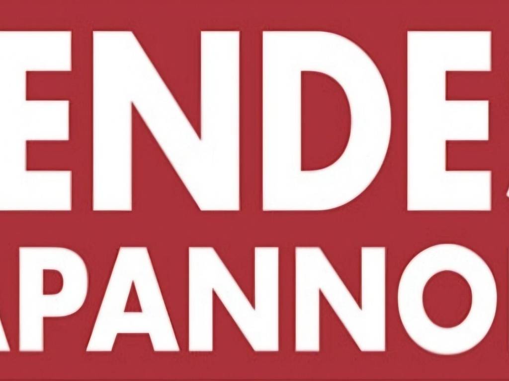 Capannone, centro, luzzara