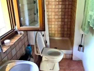 Foto 52
