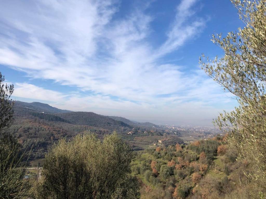 Terreno agricolo, arezzo