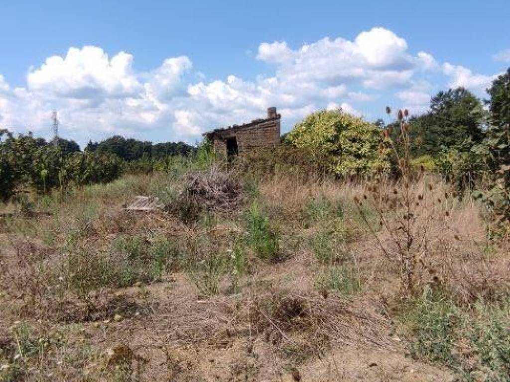 Terreno agricolo strada vicinale del piano, bassano romano