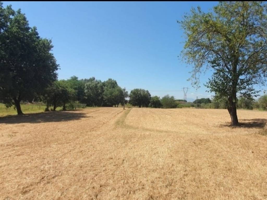 Terreno agricolo via fosco occhibelli, pozzarello, monsummano terme