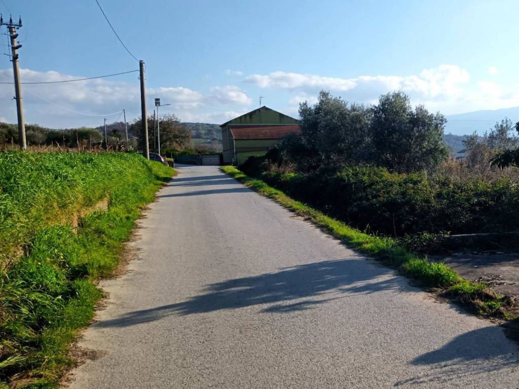 Terreno agricolo contrada chiusa delle bufale, altavilla silentina