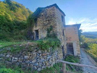 Immagine WhatsApp 2024-09-10 ore 10.12.20_0a7ec24f