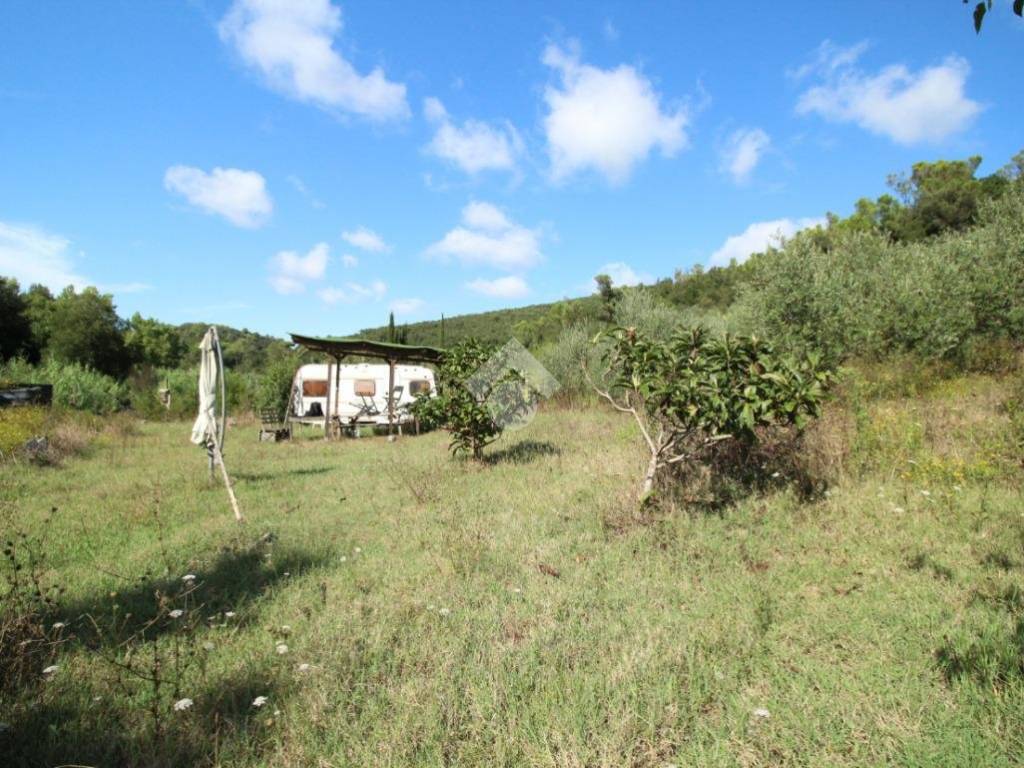 Terreno agricolo via di monterotondo, collinaia - monterotondo, livorno