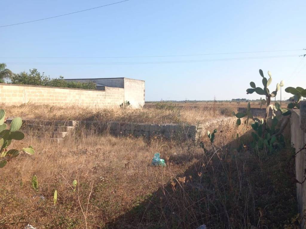 Terreno agricolo via san pancrazio, torre santa susanna