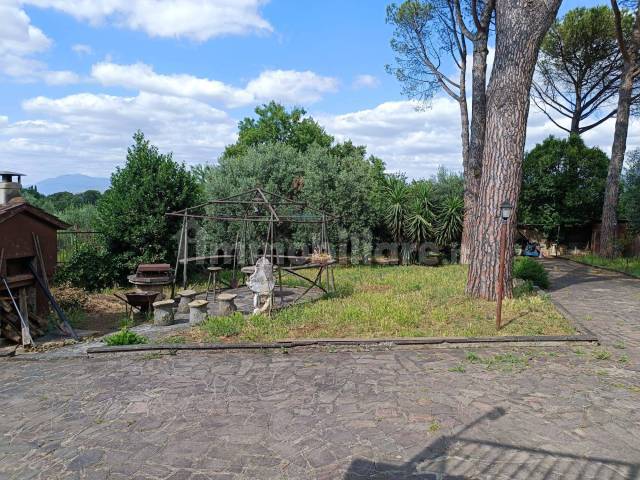 giardino