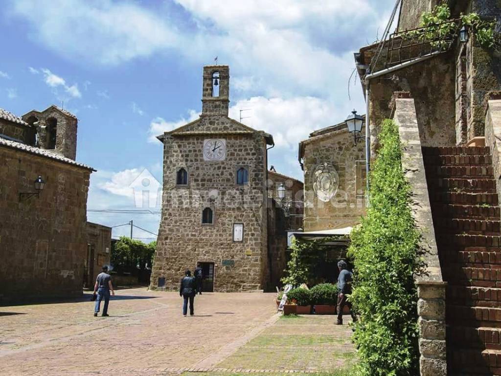 Zona