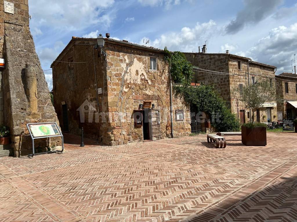 Zona