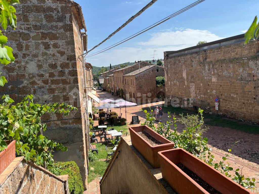 Vista