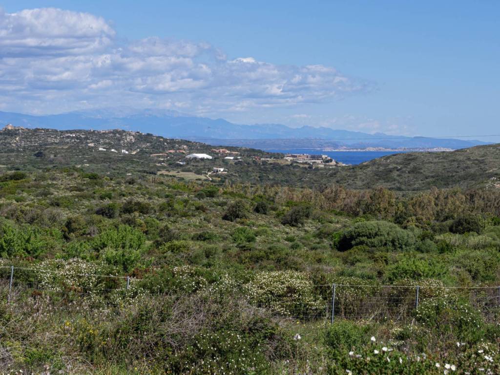 Terreno agricolo capizza di vacca, santa teresa gallura