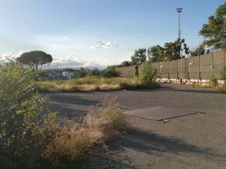 Zona
