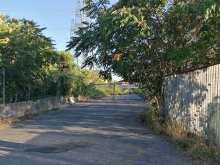 Zona