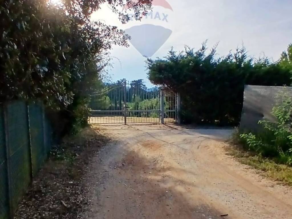 Terreno agricolo via stretta, piombino