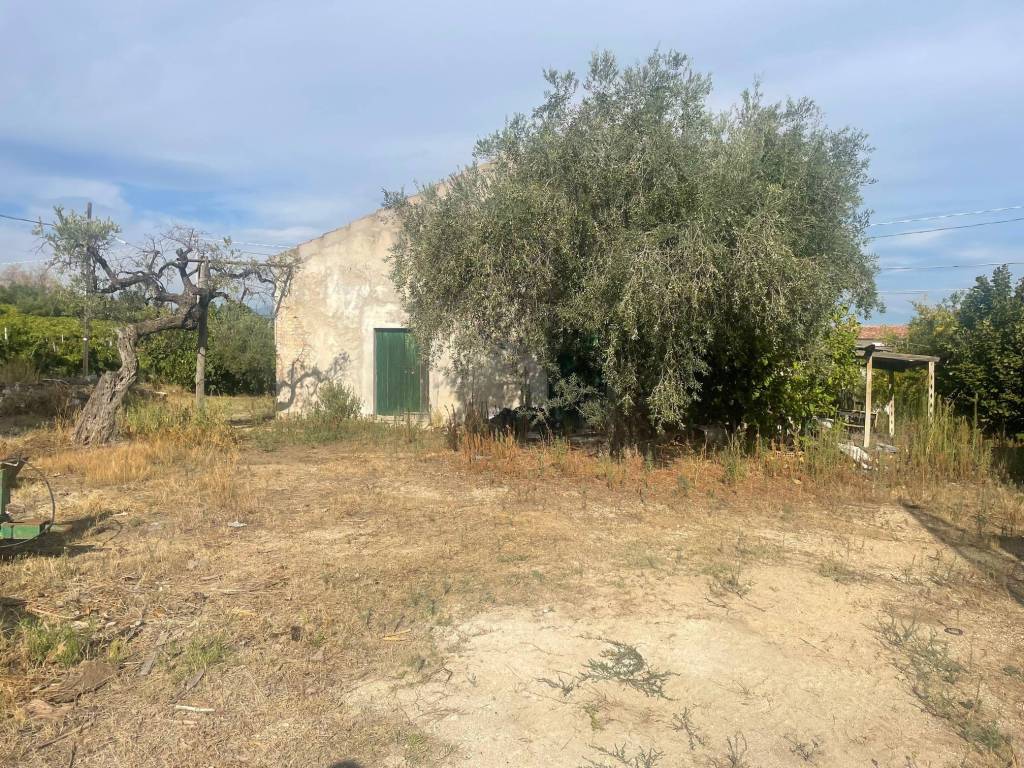Terreno agricolo contrada castelvecchio, francavilla al mare