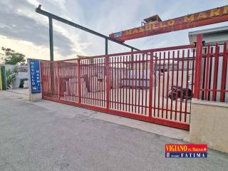 INGRESSO CARRABILE