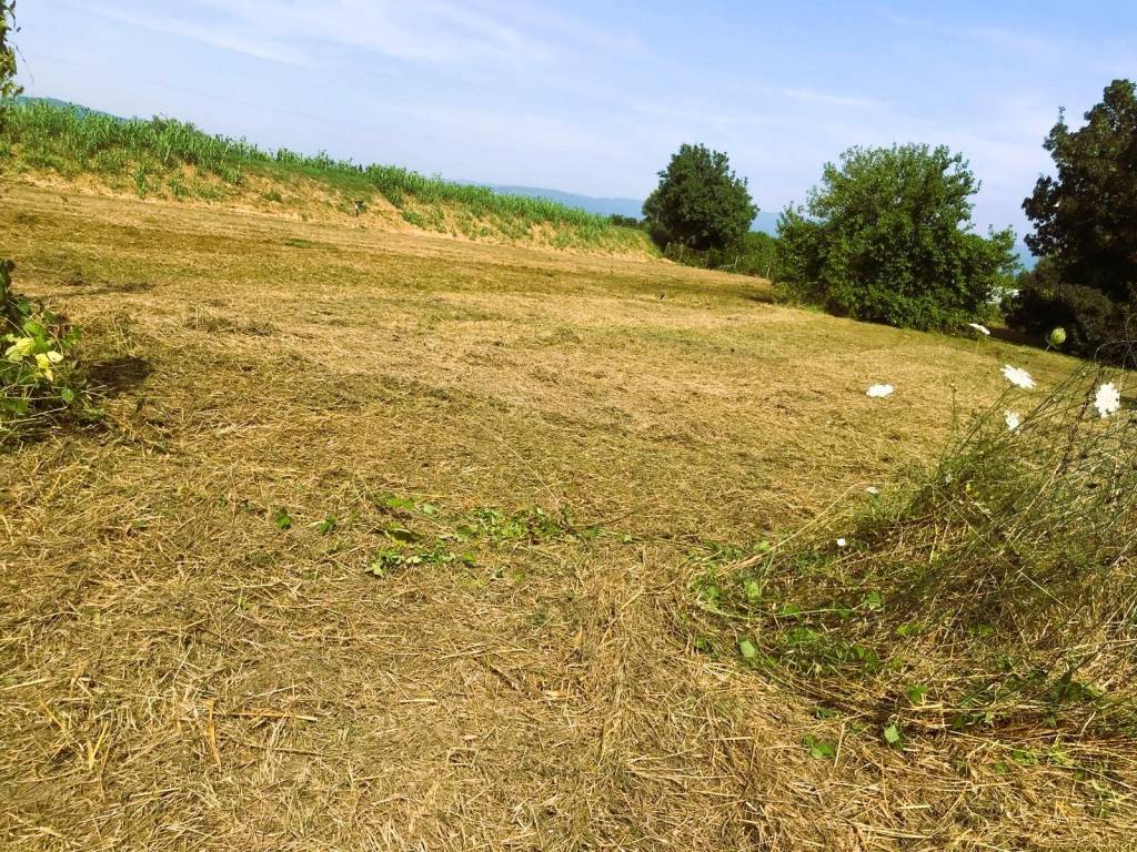 Terreno agricolo via giacomo matteotti, centro, agliana