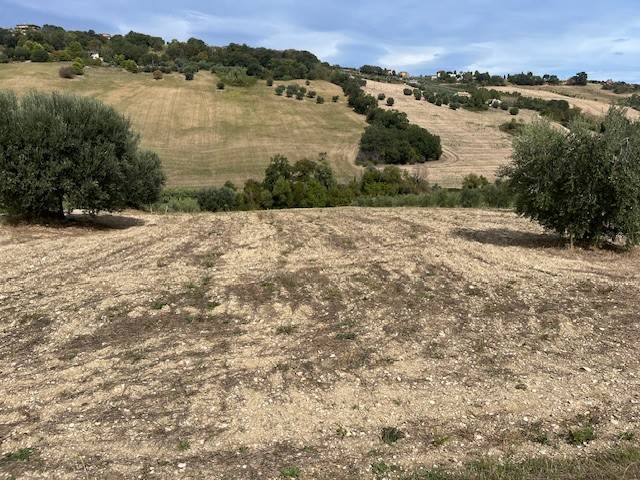 Terreno agricolo contrada cantagallo, altidona