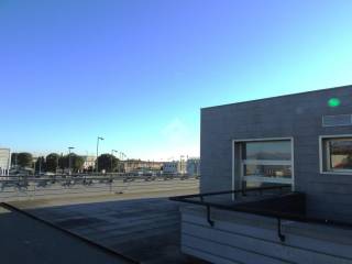 Zona
