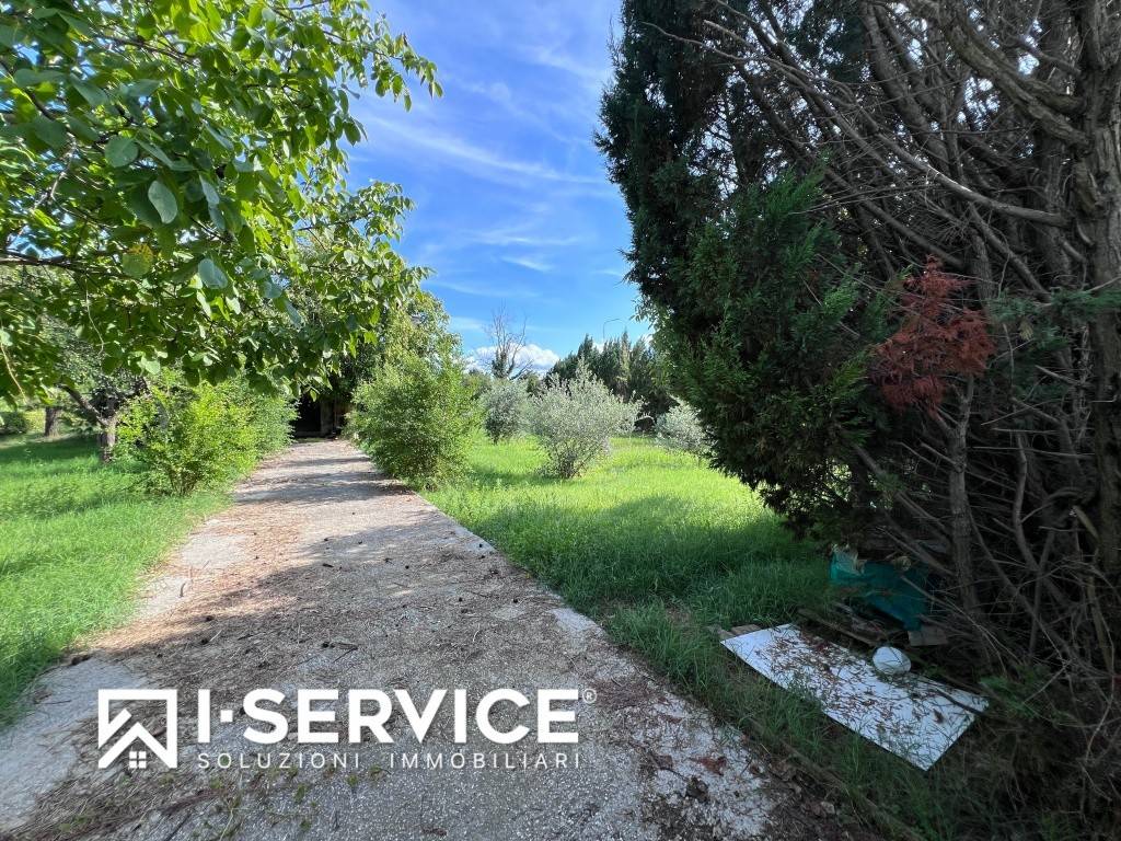 Terreno agricolo via canzio, bellaria-igea marina