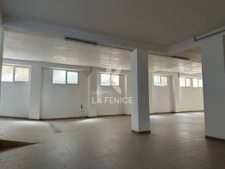 photo 5983423918104495127 y wmk 0