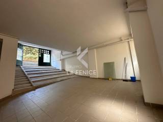 photo 5983423918104495132 y wmk 0