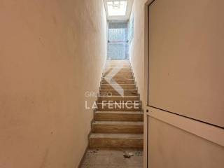 photo 5983423918104495113 y wmk 0