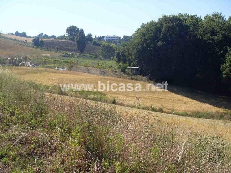 Terreno agricolo strada giovanni maria lancisi, tavullia