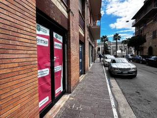 Zona