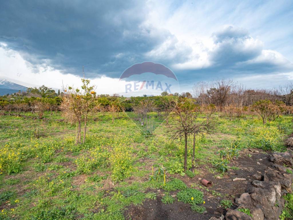 Terreno agricolo via isperia 3, mangano, guardia, san giovanni bosco, acireale