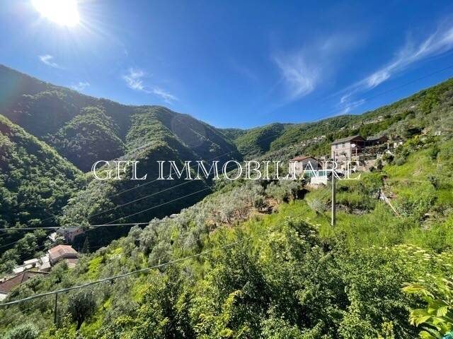 Collina