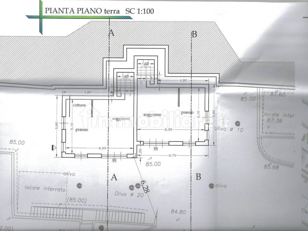 Pianta piano T