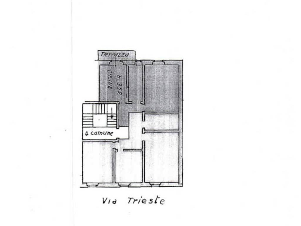 Stanza singola via trieste, firenze