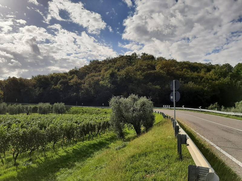 Terreno agricolo via strada provinciale, puegnago sul garda